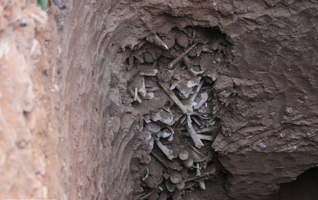 Mass graves were discovered in northwest Iran and are believed to hold the remains of victims from the 1988 massacre