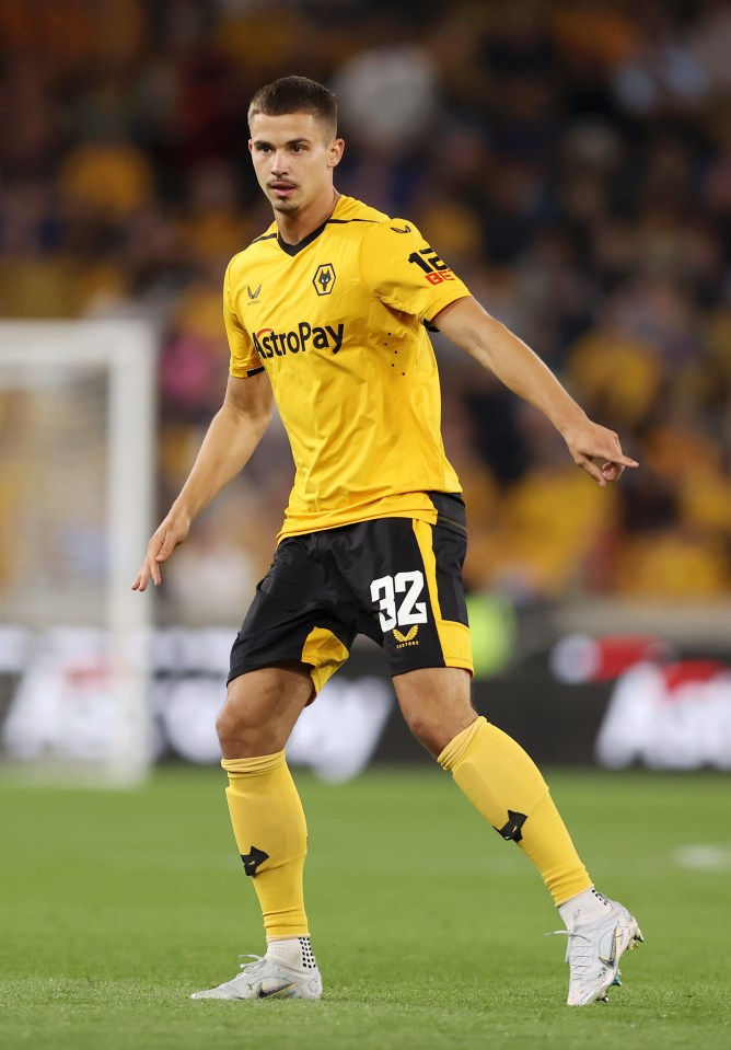 Everton have failed with a bid to sign Wolves midfielder Leander Dendoncker