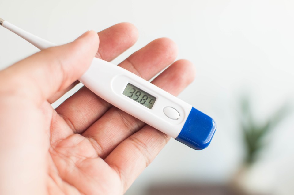 A fever is one sign of tomato flu