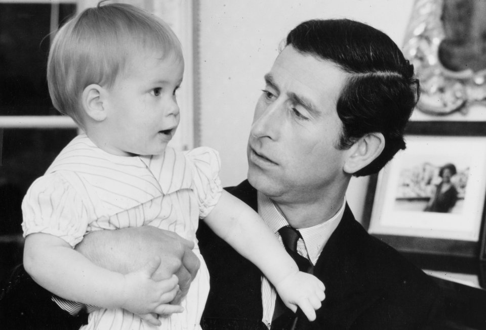 He declared that the newborn Harry was 'marvellous', with 'pale blue eyes' and hair of 'a sort of indeterminate colour'