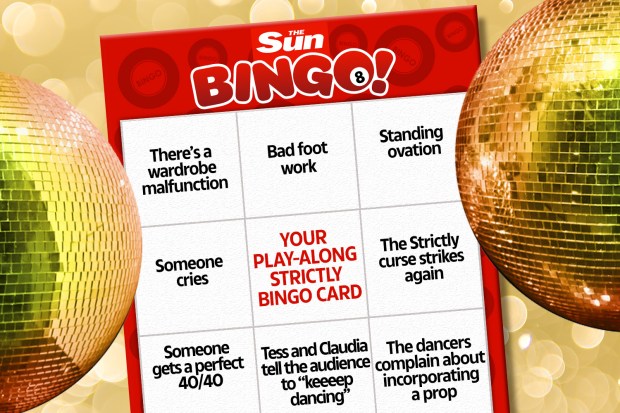 a bingo card from the sun is surrounded by disco balls
