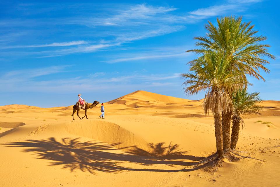 The travel advice for Egypt has been updated by the UK government