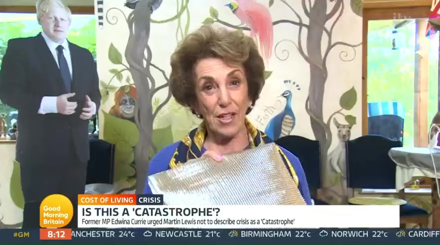 Edwina Currie suggested using tin foil to cut costs