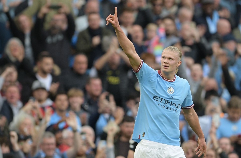 Erling Haaland already has 17 Prem goals to his name