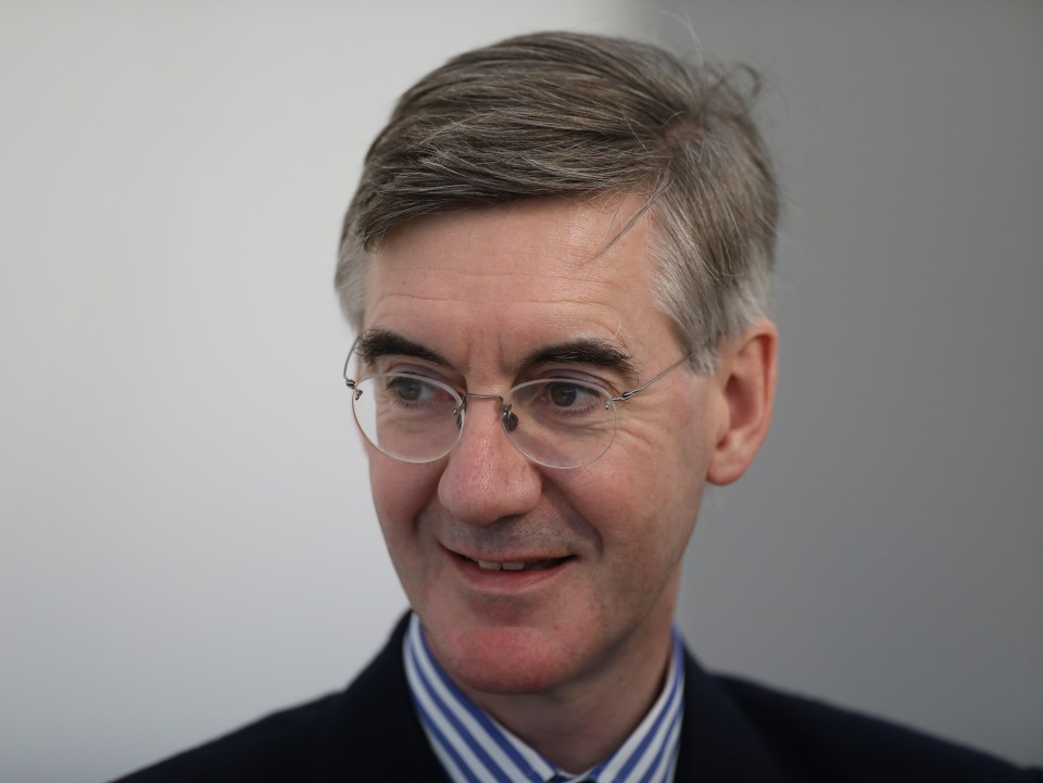 Jacob Rees-Mogg has been blocked from launching a publicity campaign urging Brits to cut down on their energy