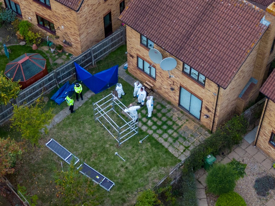 Forensic investigators set up scaffolding at the rear of the property following the discovery of human remains