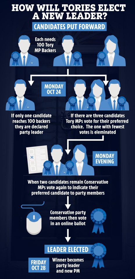 Each candidate needs 100 MPs to back them