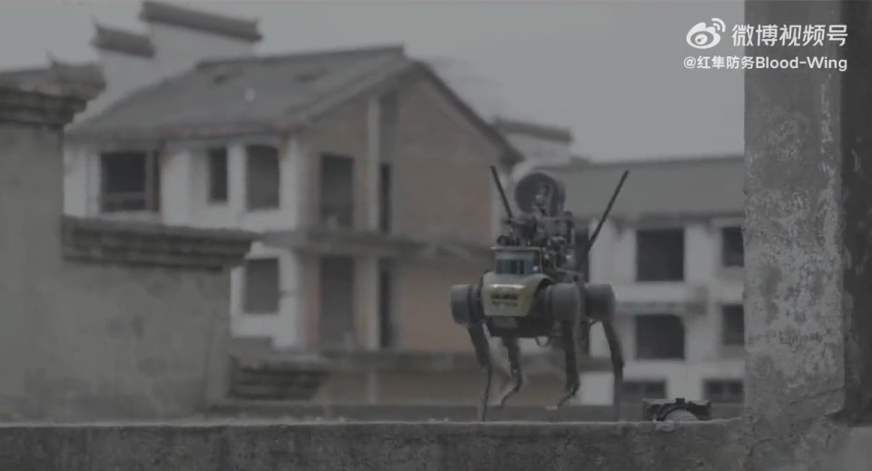 The robodog is believed to have a QBB-97 light machine gun mounted to its back