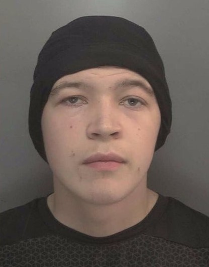 Hodgins was jailed, aged 18, last October for drugs offences