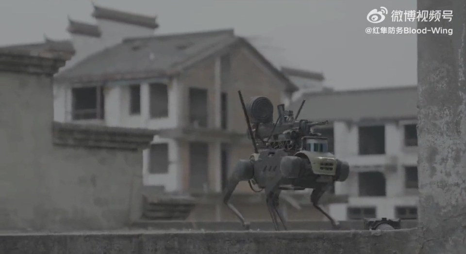 The disturbing gun-wielding robot dog is a stark representation of future high-tech warfare