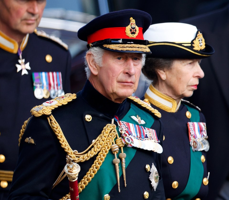 Members of the royal family who can stand in for the King when he cannot fulfil certain official duties are likely to be increased