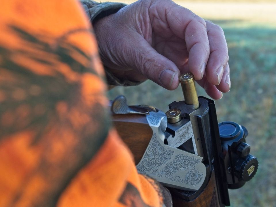 The British woman was shot dead by her pal while they were hunting