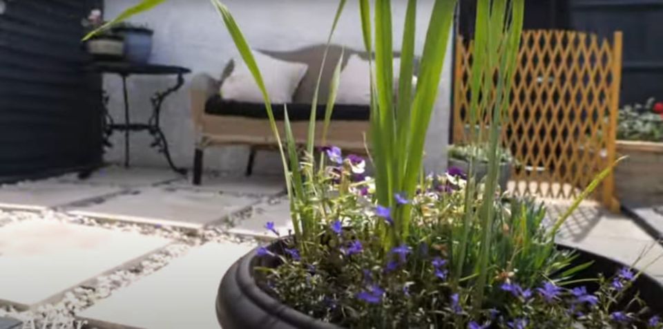 Nick completed the garden with some colourful flowers