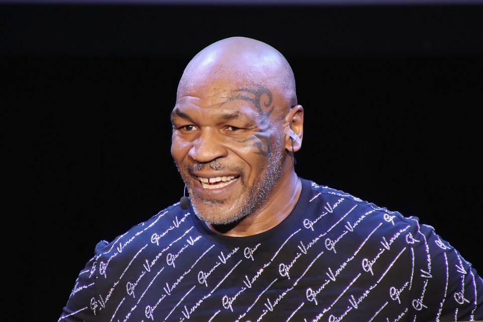 Mike Tyson said he was "high and tired" before his altercation with a fan on a plane