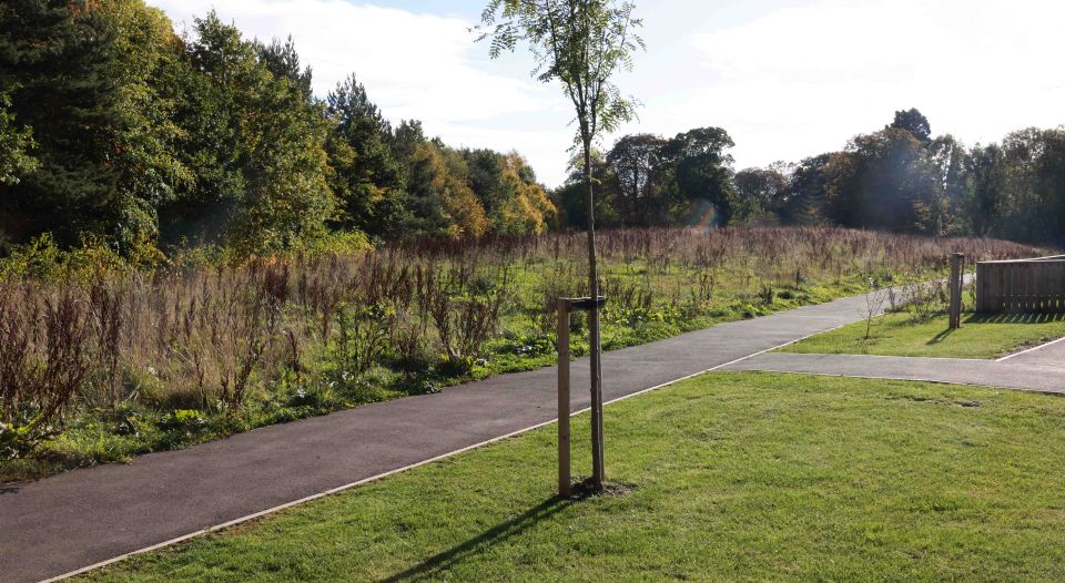 Villagers used to enjoy the green area for exercise, recreation and dog walking.