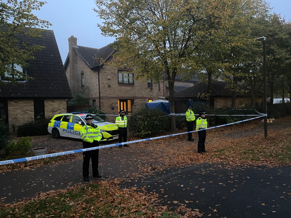 Police launched a murder investigation after finding human remains in the search for Leah