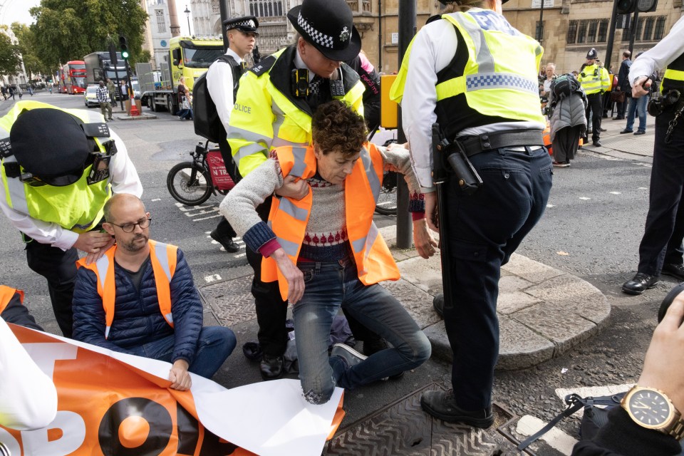 Protesters from Just Stop Oil descend on Whitehall in London where they lobbed soup over the Department for Business.