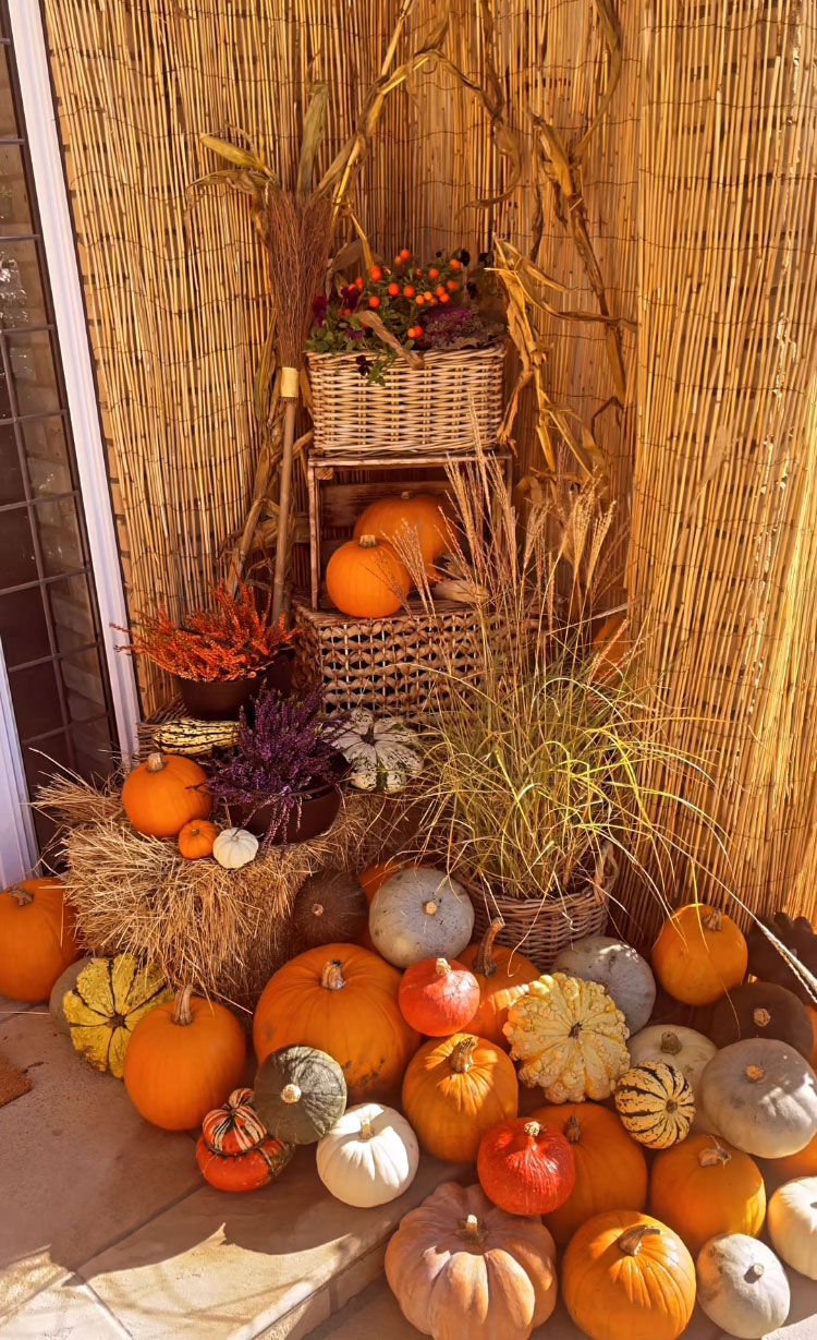 Taken without permission, from Instagram. Mrs Hinch wows fans with stunning autumnal front door display – and she bagged the decorations from Home Bargains, http://www.instagram.com/reel/CjqhSP2gfTQ/?igshid=MDJmNzVkMjY%3D