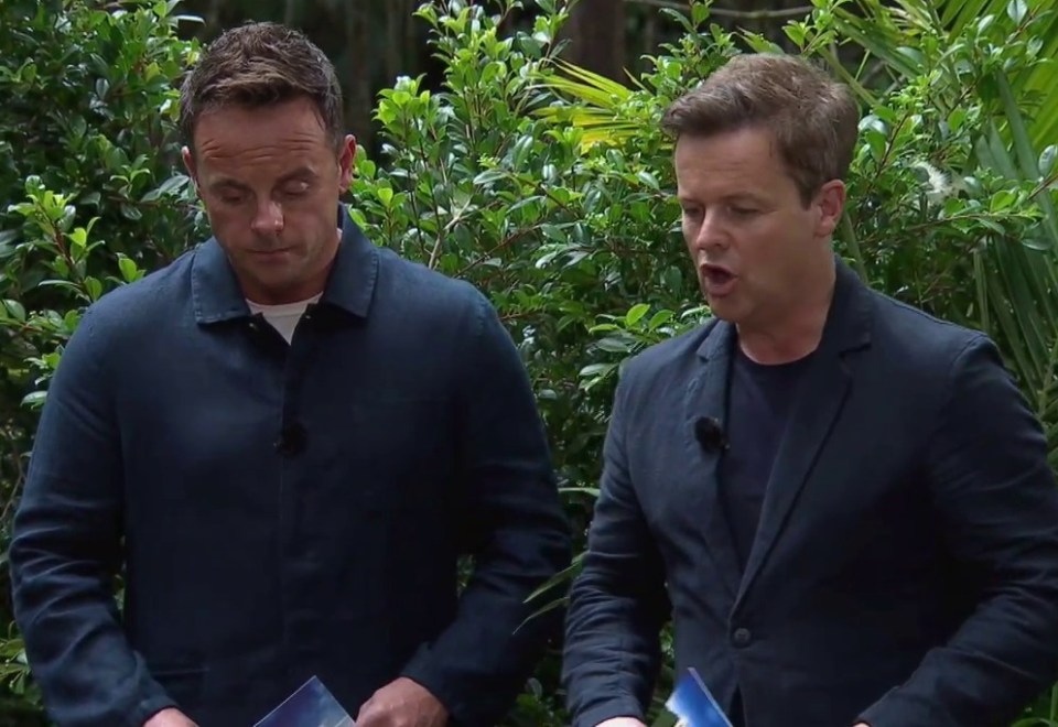 A worried-looking Ant and Dec are seen looking on during the task