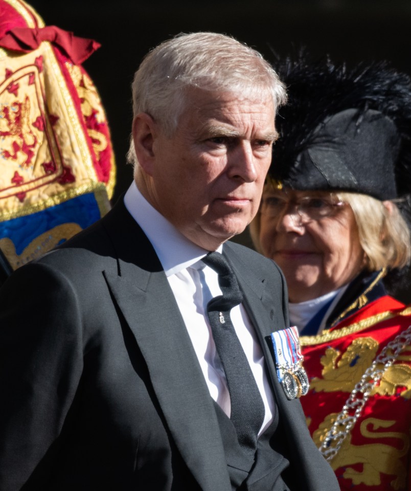 Public opinion is solidly against Prince Andrew, Mr Fitzwilliams added