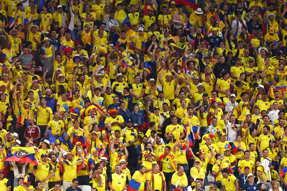 Ecuador supporters chanted loudly for beer in their group match vs Qatar
