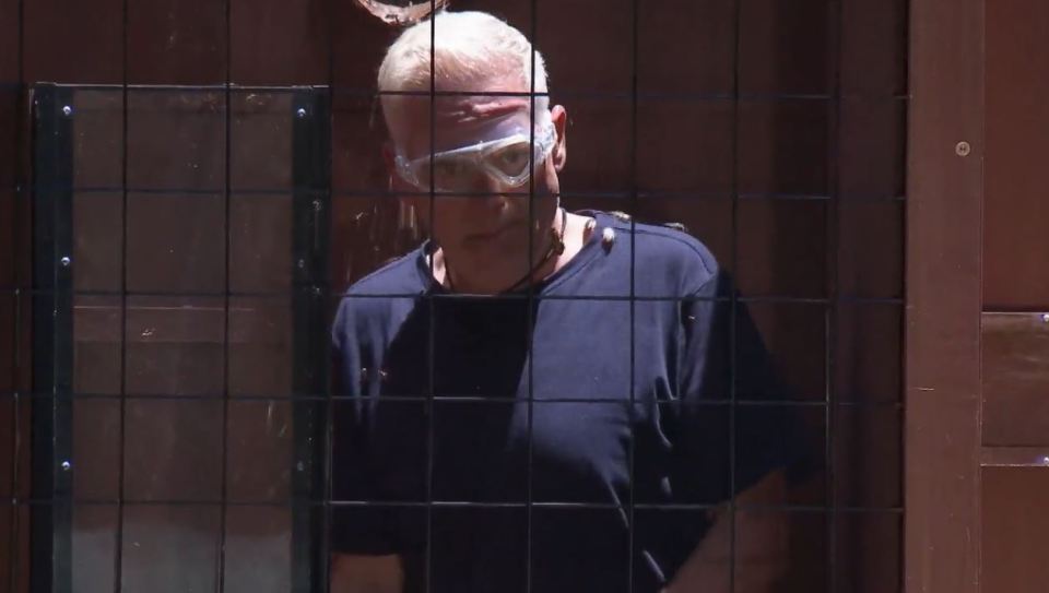 Chris Moyles is seen squirming as bugs climb up his legs