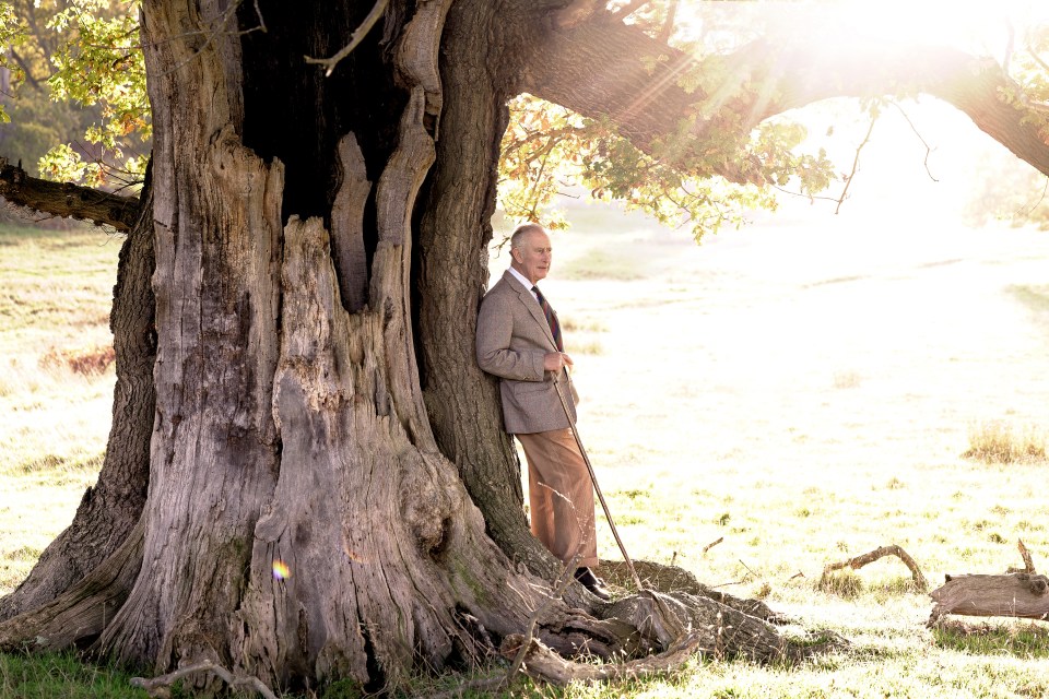 King Charles celebrated his first birthday as reigning monarch with this touching new photo