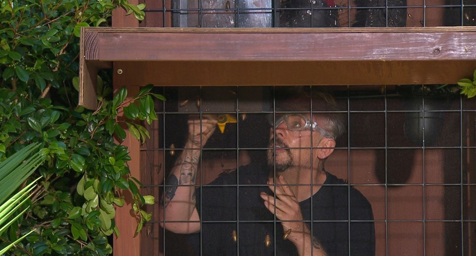 Boy George chants his way through the Angel of Agony trial