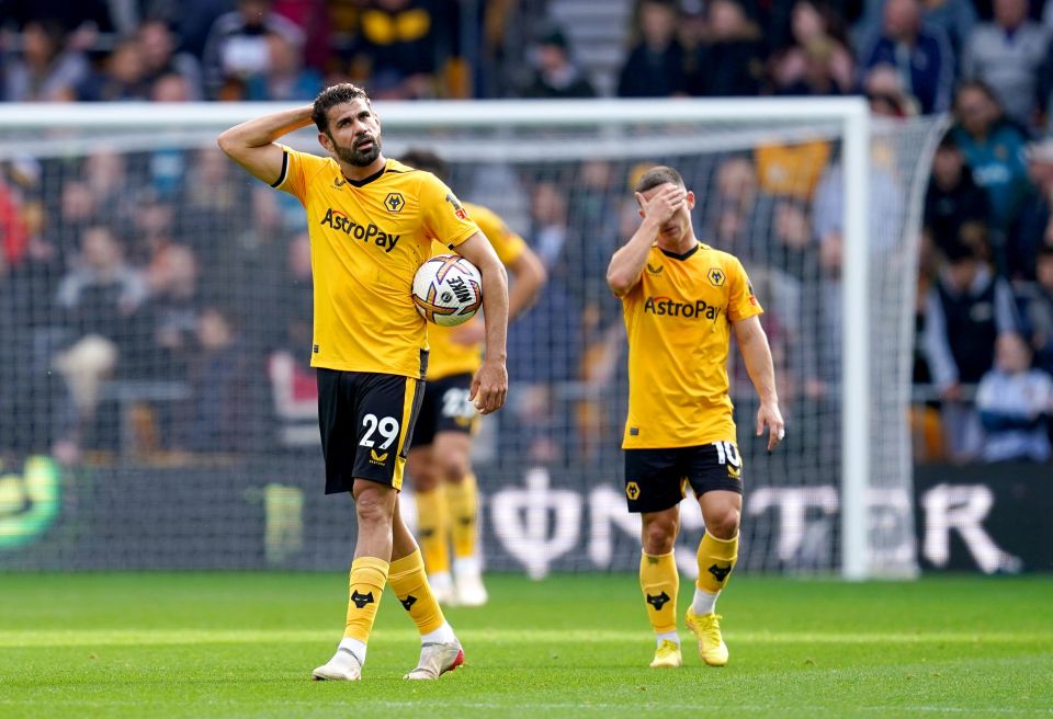 Wolves have endured a difficult season to date