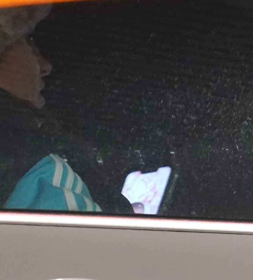 A witness said: 'She was clearly speaking to Max as she was holding her phone and the steering wheel'