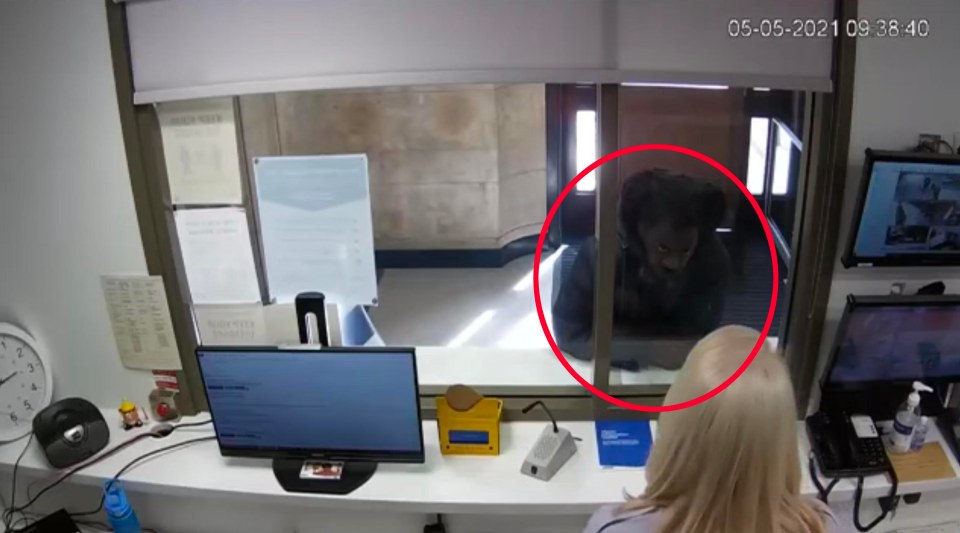 Footage shows John Paul walk into a police station and confess