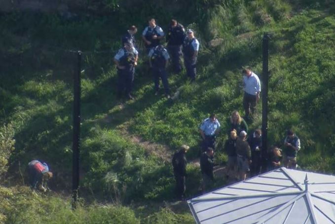 Police and zoo keepers were seen assessing their busted enclosure after the escape