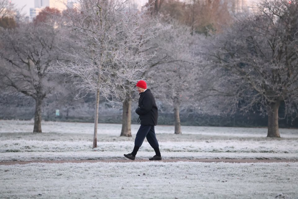 A thick frost covered Hyde Park, central London as freezing temperatures continue in the capital