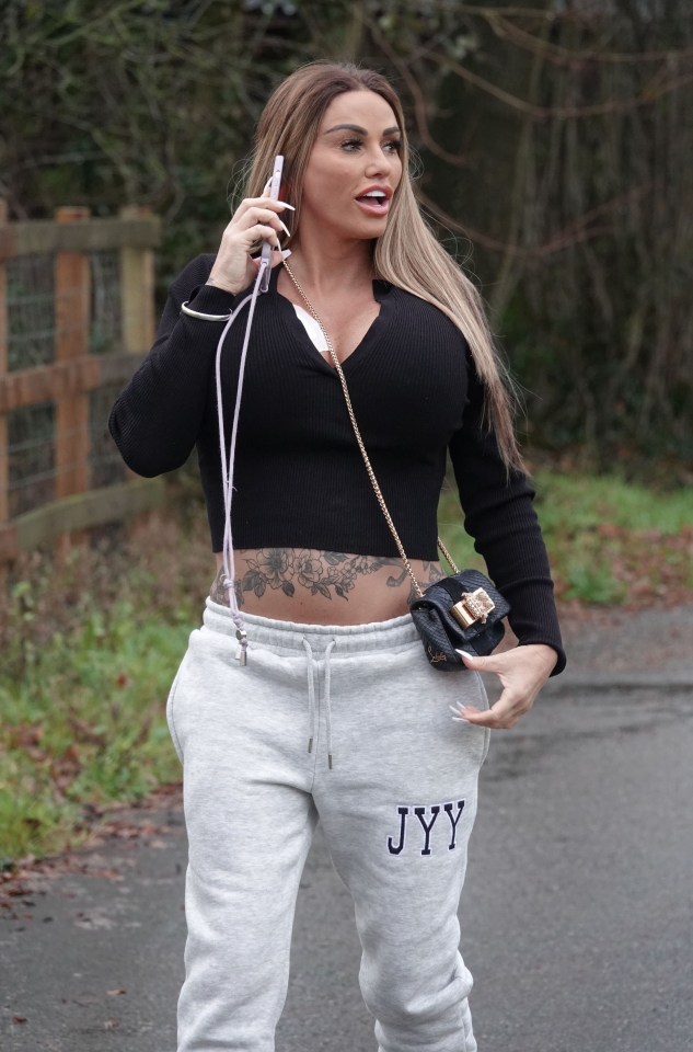 Her fans are unsure how bankrupt Katie afforded the procedure