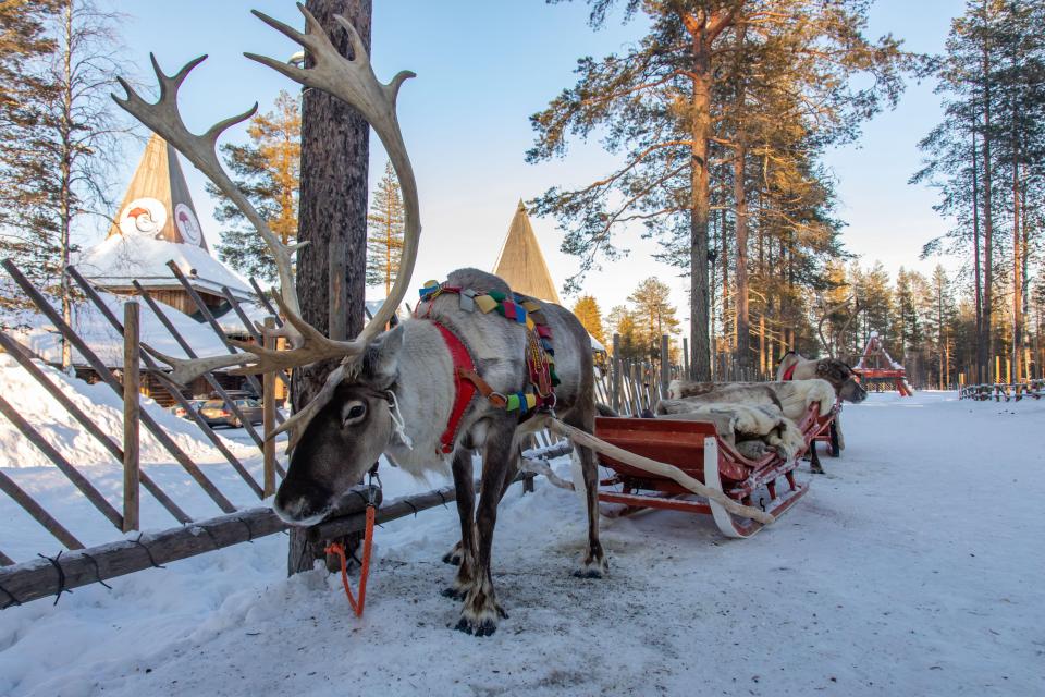 You could get paid to plan Santa trips to Lapland