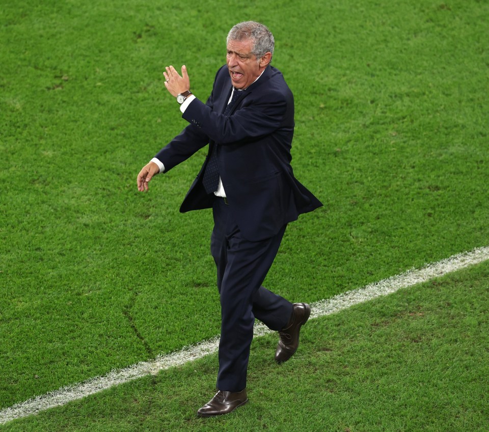 Santos faces the sack after Portugal's early World Cup exit
