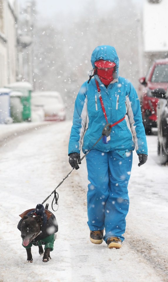 A woman walks her dog in the snow