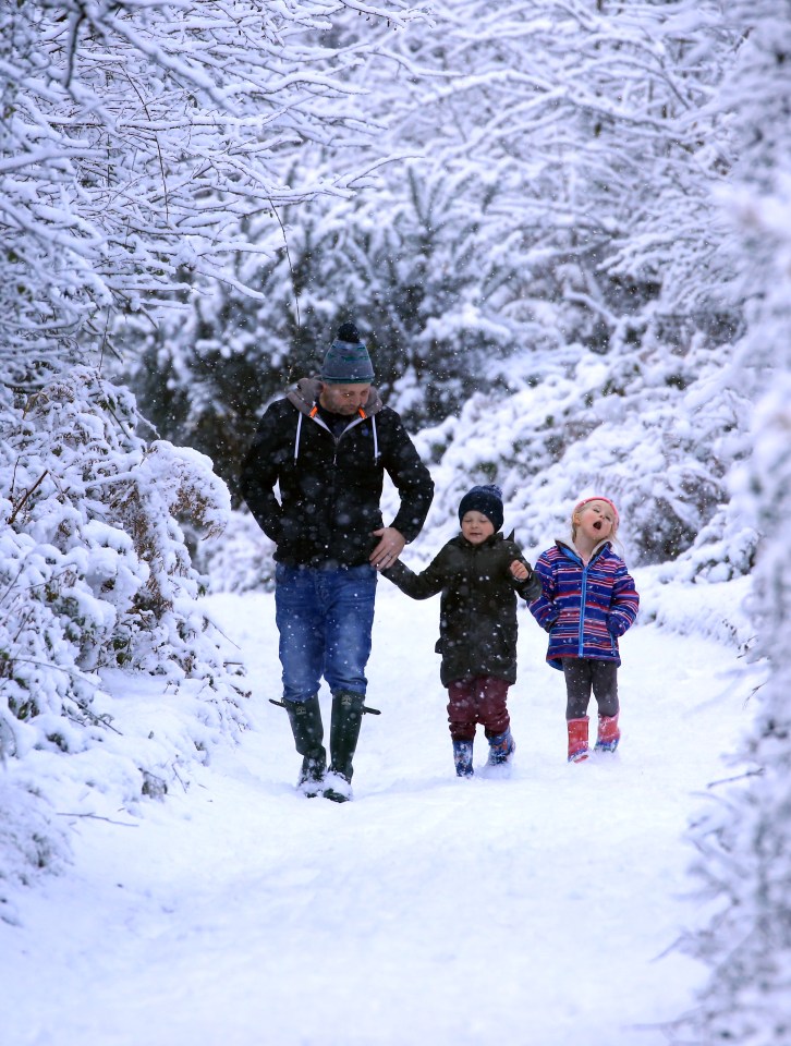 A family made the most of the winter wonderland this morning in Somerset
