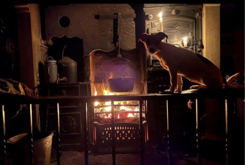 Amanda's dog standing on the kitchen table in front of a fire
