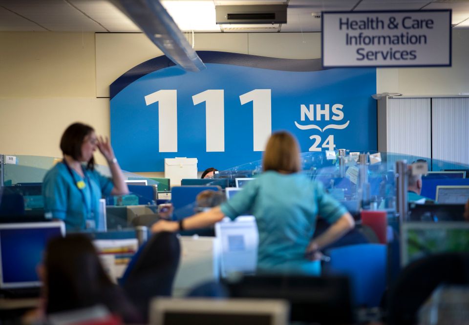 The sick should check symptoms online rather than calling the swamped 111 phone line, a leading doctor has said