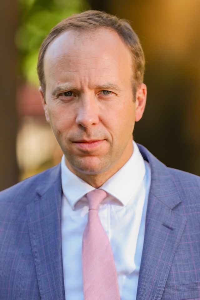 Matt Hancock has made almost £500,000 since the beginning of the year