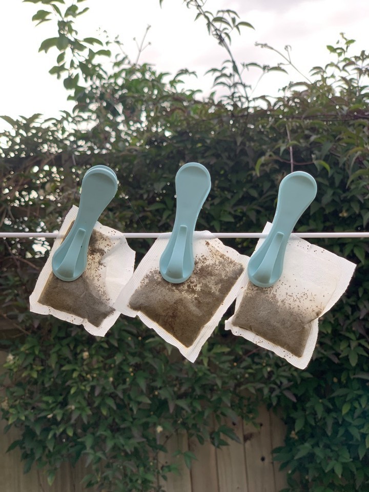 Al tries all sorts of ways to save money like hanging up tea bags to be re-used