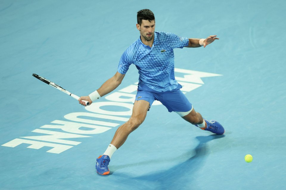 Djokovic made it through to face Grigor Dimitrov