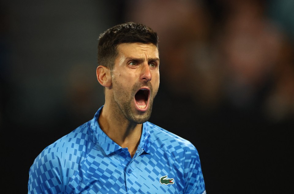 Djokovic, 35, was irritated by a fan in Melbourne