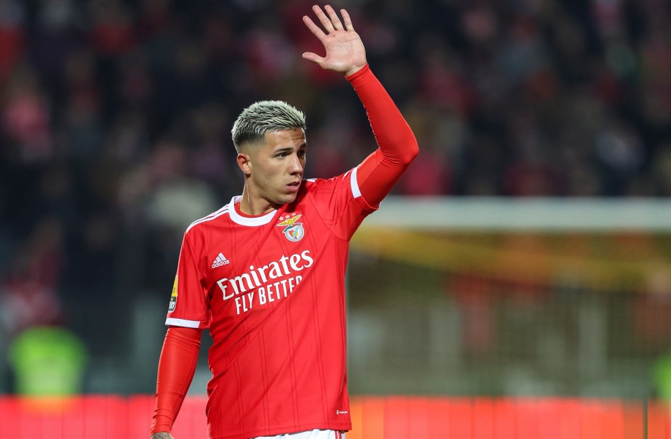Chelsea have agreed a fee with Benfica to sign Enzo Fernandez