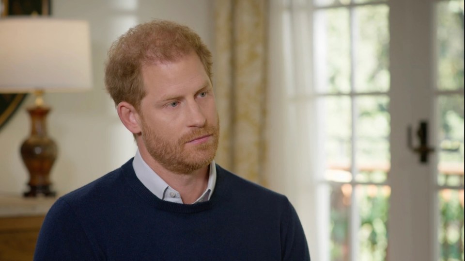 Harry has claimed the Prince and Princess of Wales stereotyped Meghan