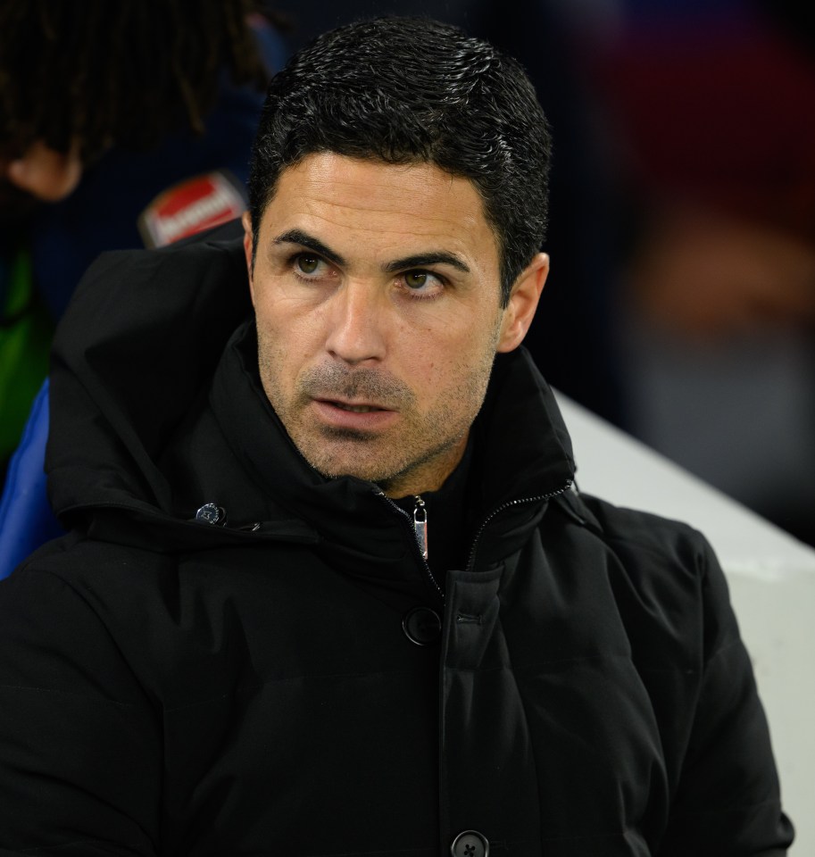 Gunners boss Mikel Arteta is hoping to bring in reinforcements this month