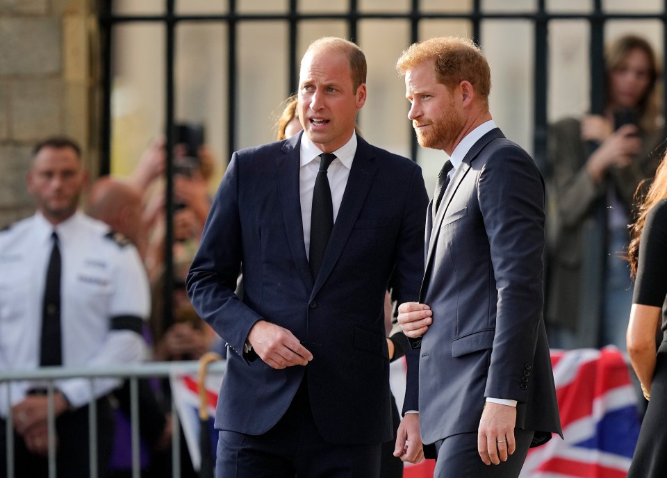Harry says William called Meghan 'rude' and 'difficult'