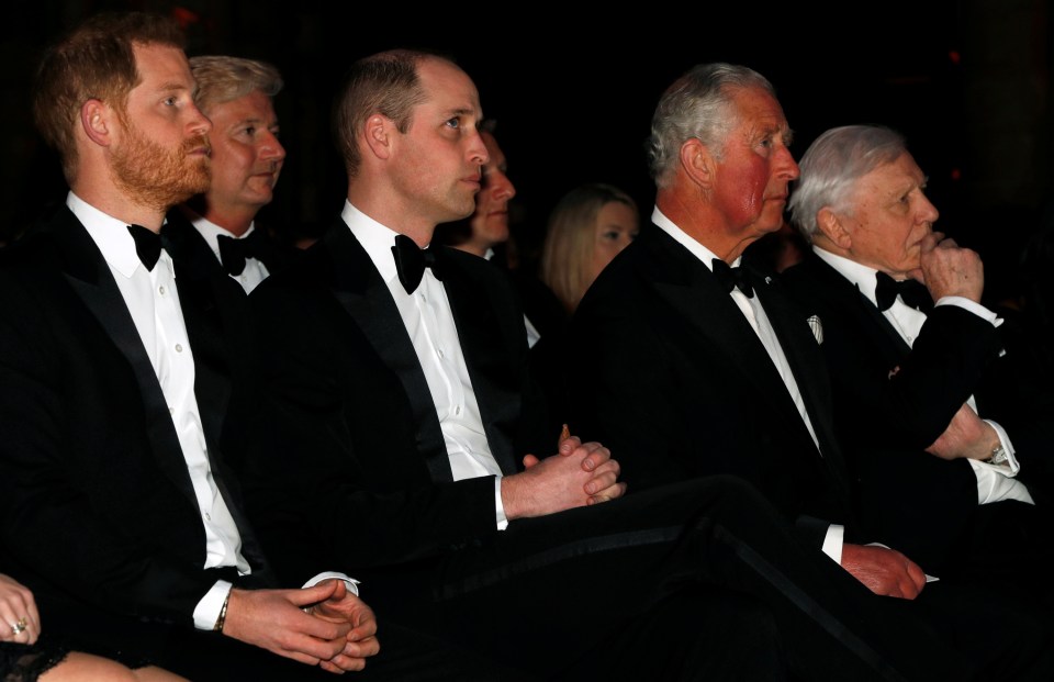 William will carry out the symbolic gesture - but Harry will not kneel and swear allegiance, if he attends