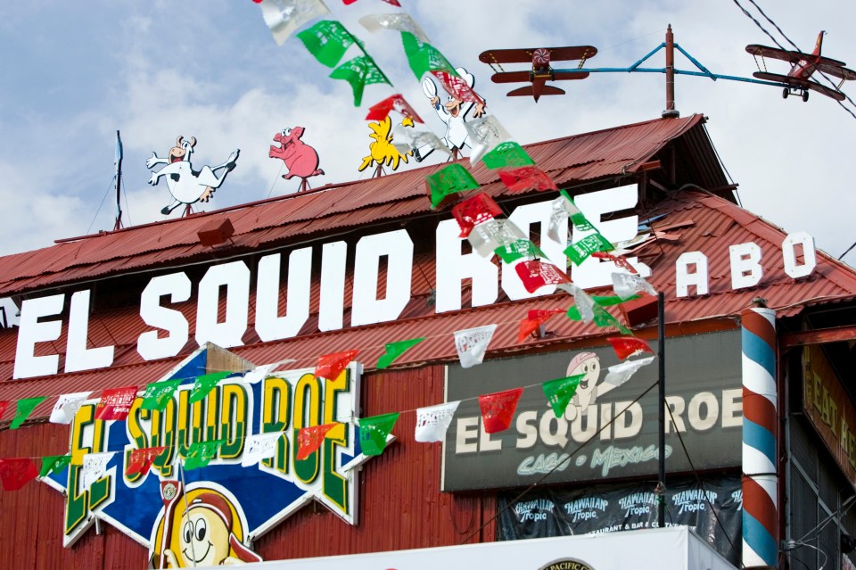 The incident happened at nightclub El Squid Roe in Cabo San Lucas, Mexico